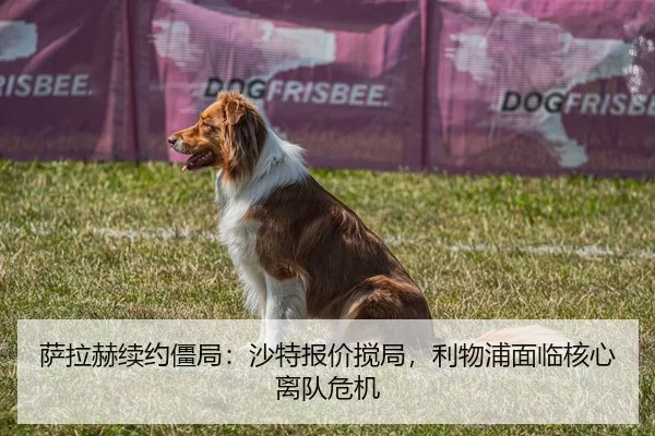 萨拉赫续约僵局：沙特报价搅局，利物浦面临核心离队危机
